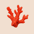 Corallo